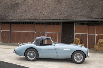 1955 Austin-Healey 100-4 BN1
SANS RESERVE
•	Châssis...