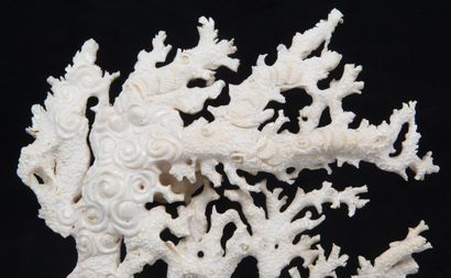 CHINA, 20th CENTURY
White coral group with...