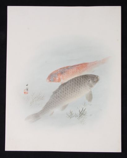 JAPAN, LATE 19th - EARLY 20th CENTURY
Lot...