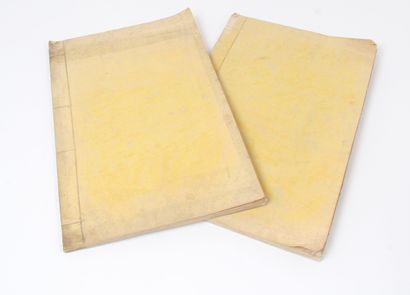 CHINA, late 19th CENTURY
Two volumes of Xiqing...
