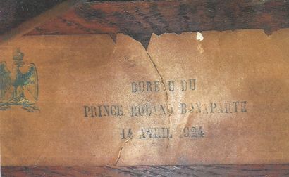 LE PRINCE ROLAND BONAPARTE (1854-1924)

Bibliothèque...