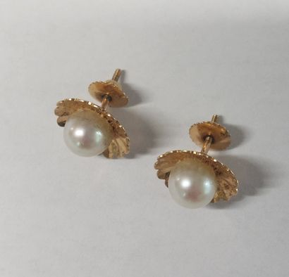 PAIR OF EARRINGS in 18K gold and pearls

PB...