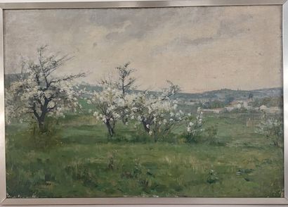 Henry GROSJEAN (1864-1948) 

Pommiers en...
