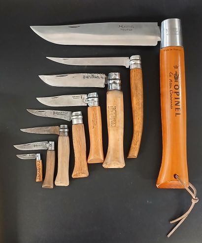 COLLECTION DE 8 COUTEAUX OPINEL 

N°7, 8,...