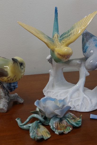 GROUP in English porcelain 

Trendy parakeets...