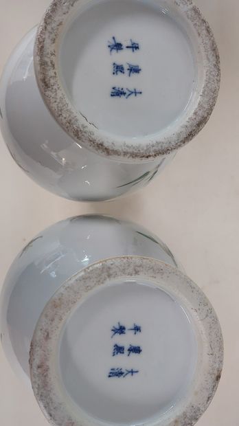 CHINA

Pair of Chinese porcelain vases with...