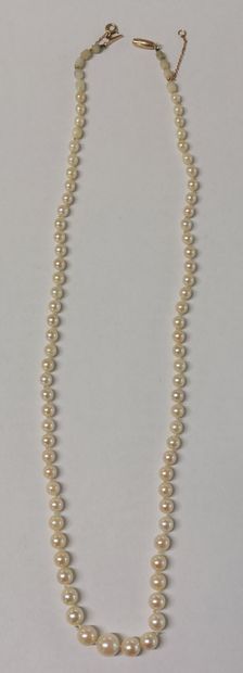 COLLIER DE PERLES (non testées) fermoir en...