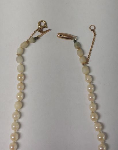 COLLIER DE PERLES (non testées) fermoir en...