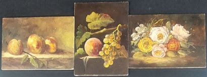 THREE OILS

Still life with fruit and flowers

Oil...