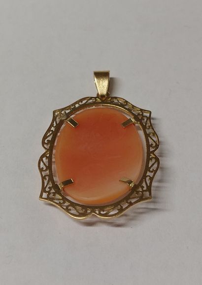 Oval pendant set in 18K yellow gold with...