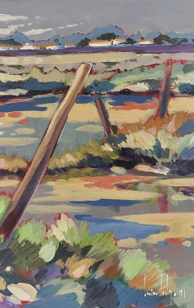 Olivier SUIRE-VERLEY (1951)

The island of...