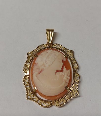 Oval pendant set in 18K yellow gold with...