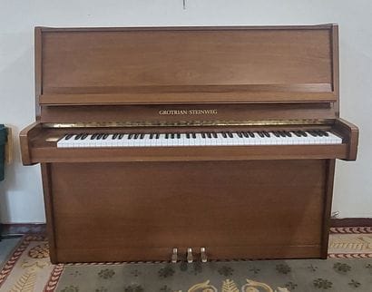 GROTRIAN STEINWEG 122

Grotrian Steinweg...