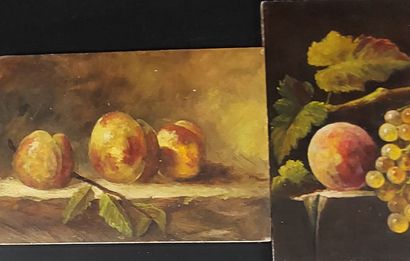 THREE OILS

Still life with fruit and flowers

Oil...