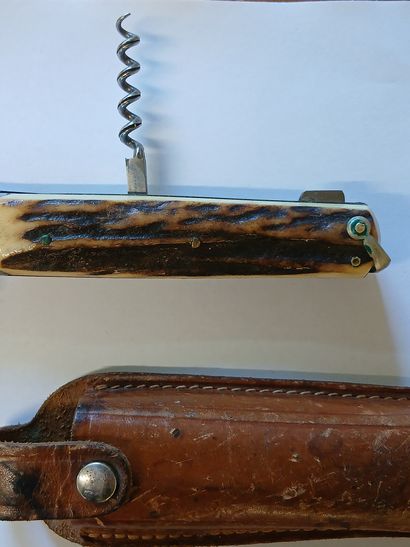 COUTEAU DE CHASSE en corne de cerf

Avec...