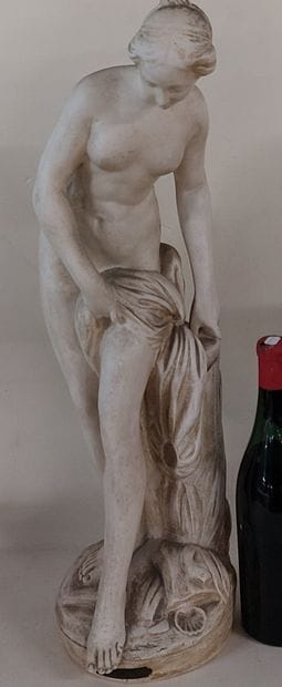 According to FALCONET

Bather

Plaster

H...