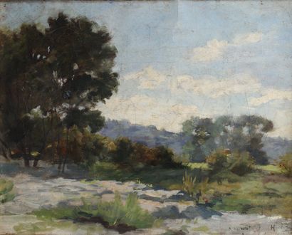 XXth CENTURY SCHOOL
Country landscape
Oil...