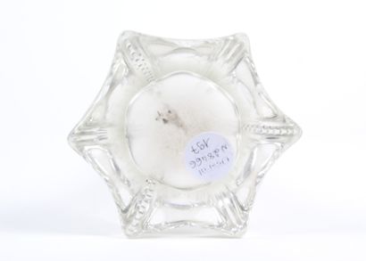 LARGE SOLIFLORE VASE
in glass with pinched...