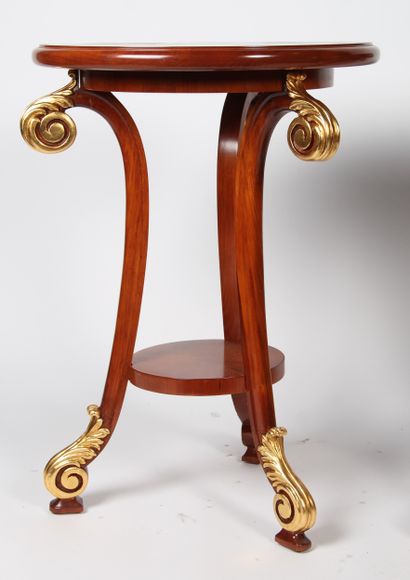 PAIR OF 18th-CENTURY STYLE SADDLES
in mahogany...