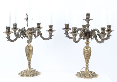 PAIR OF BRONZE CHANDELIERS, decorated with...