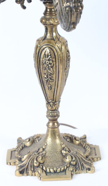 PAIR OF BRONZE CHANDELIERS, decorated with...