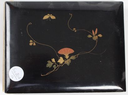 JAPON, album de 42 cartes postales, en noir...