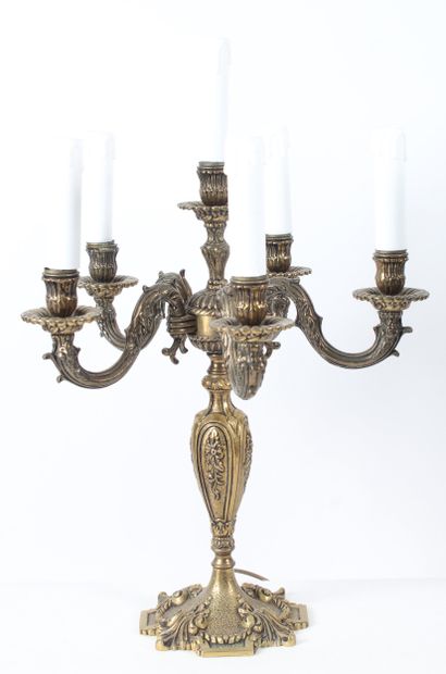 PAIR OF BRONZE CHANDELIERS, decorated with...