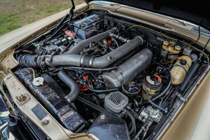 1968 MERCEDES BENZ 600 LIMOUSINE
Carte grise...