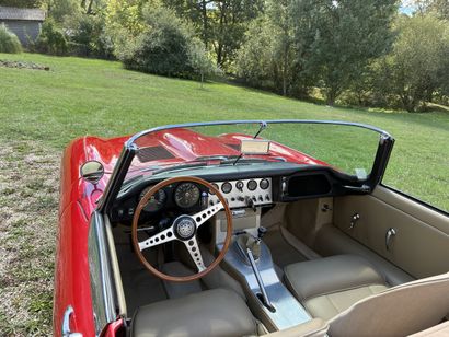 1963 JAGUAR TYPE E s1 cab 3,8L
Carte grise...