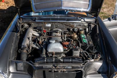 1963 MERCEDES BENZ 300SE
• Carte grise :...