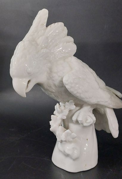 NYMPHENBURG

Pair of cockatoos

Coat-of-arms...