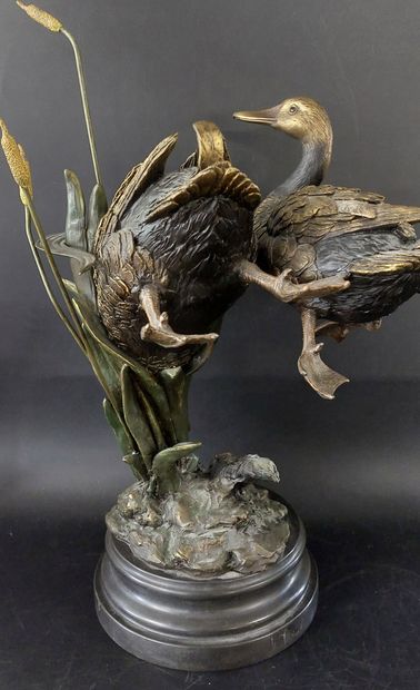 GRAND SUJET en bronze

Canards

Socle en...