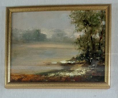 Rocco PREITE (1935)

Bord d'étang

Deux huiles...