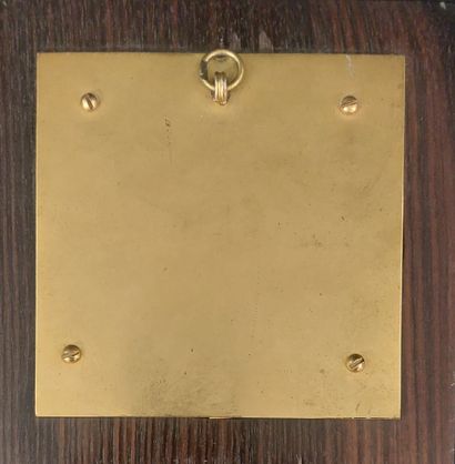 FIXE SOUS VERRE dans un cadre en bois et...