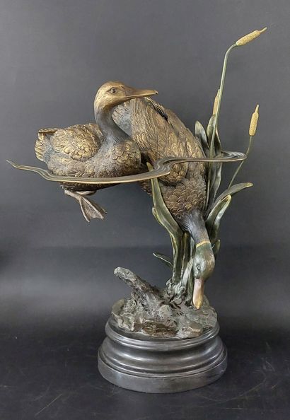GRAND SUJET en bronze

Canards

Socle en...