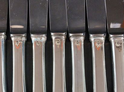 TWELVE LARGE KNIVES with stainless steel...