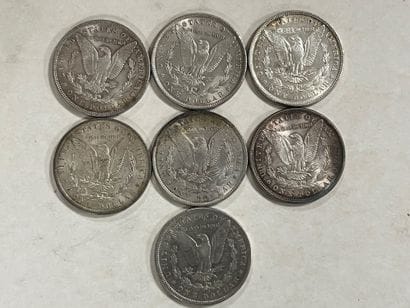 LOT de 7 pièces en argent 1 dollar Morgan...