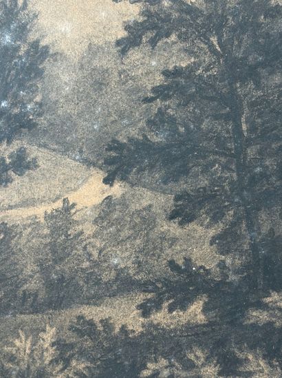 19th-Century French School 

Forest 

Charcoal,...