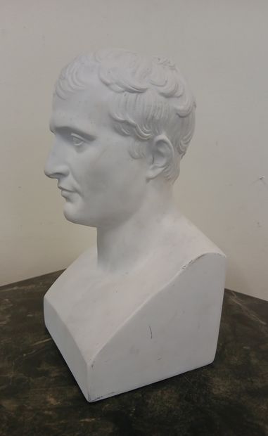 CHAUDET, d'après

Buste de Napoléon Ier en...