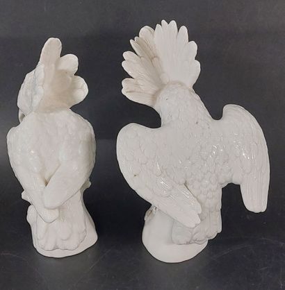 NYMPHENBURG

Pair of cockatoos

Coat-of-arms...