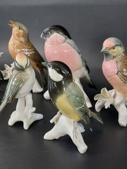 KARL ENS

Huit oiseaux en porcelaine polychrome

H...