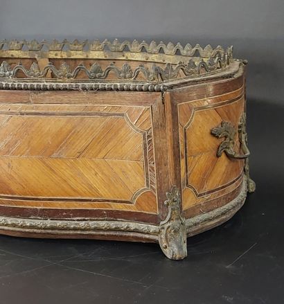Marquetry PLANTER, curved on all sides, adorned...