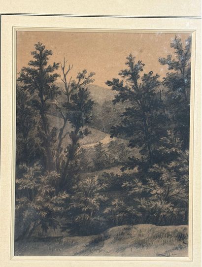 19th-Century French School 

Forest 

Charcoal,...