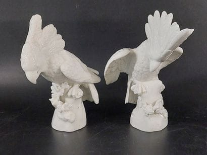NYMPHENBURG

Pair of cockatoos

Coat-of-arms...
