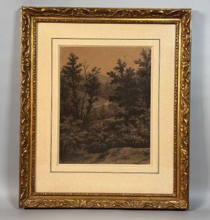 19th-Century French School 

Forest 

Charcoal,...