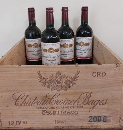 LOT de 4 bouteilles 

PAUILLAC

Château Croizet...