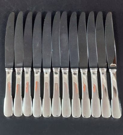 TWELVE LARGE KNIVES with stainless steel...