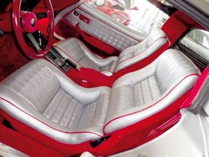 1981 CHEVROLET CORVETTE
Chassis n° 1G1AY...