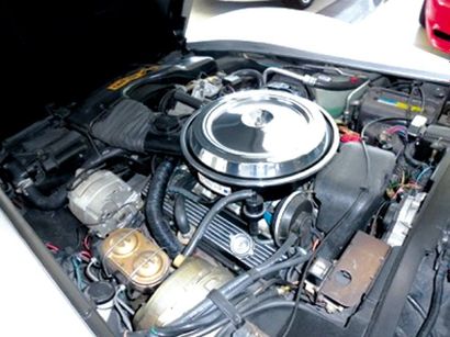 1981 CHEVROLET CORVETTE
Chassis n° 1G1AY...