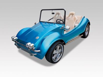 1973 BUGGY
Chassis n° TP960071020 
Moteur...